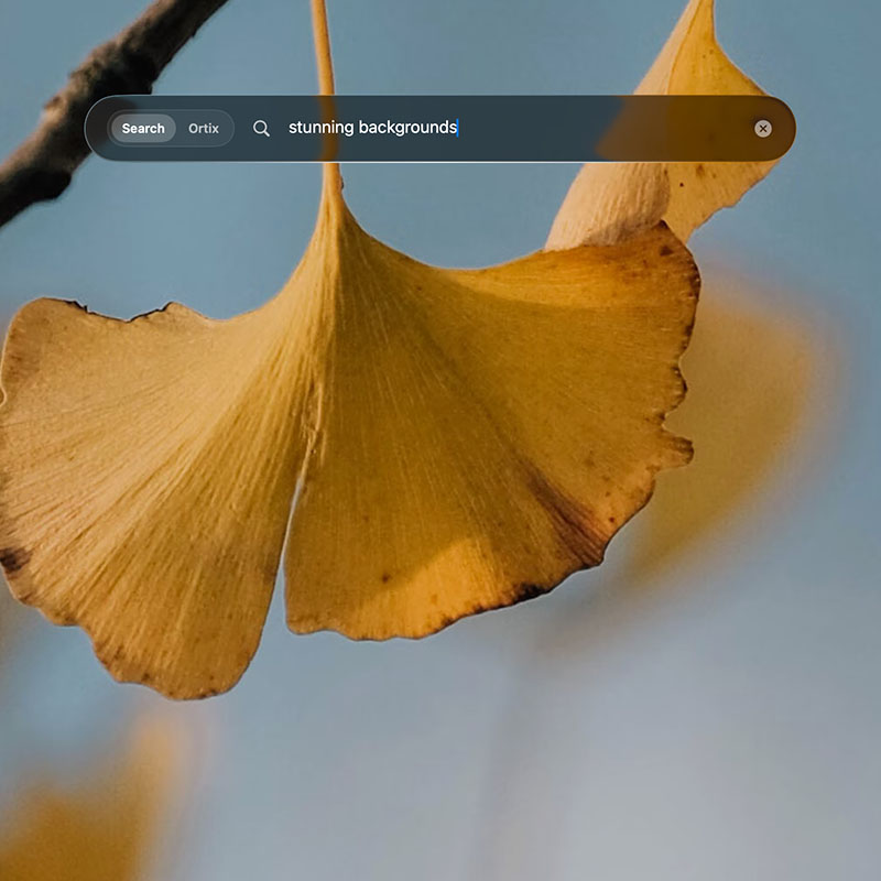 Open links. Keep your place